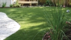 Lawn Covered with Artificial Grass