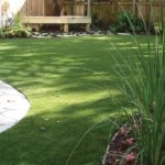 Backyard with Artificial Grass