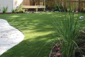 Backyard with Artificial Grass