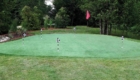 Artificial Golf Green