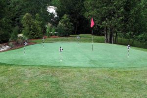 Synthetic Turf Putting Green in Wisconsin